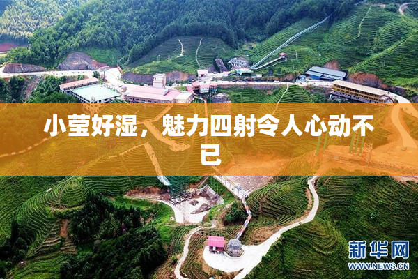 小莹好湿，魅力四射令人心动不已
