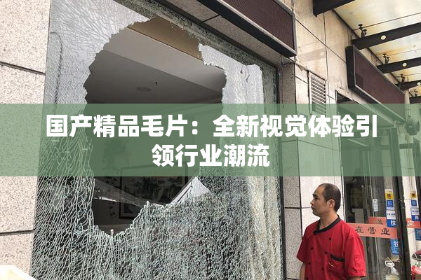 国产精品毛片：全新视觉体验引领行业潮流