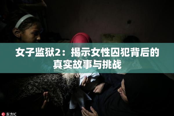 女子监狱2：揭示女性囚犯背后的真实故事与挑战