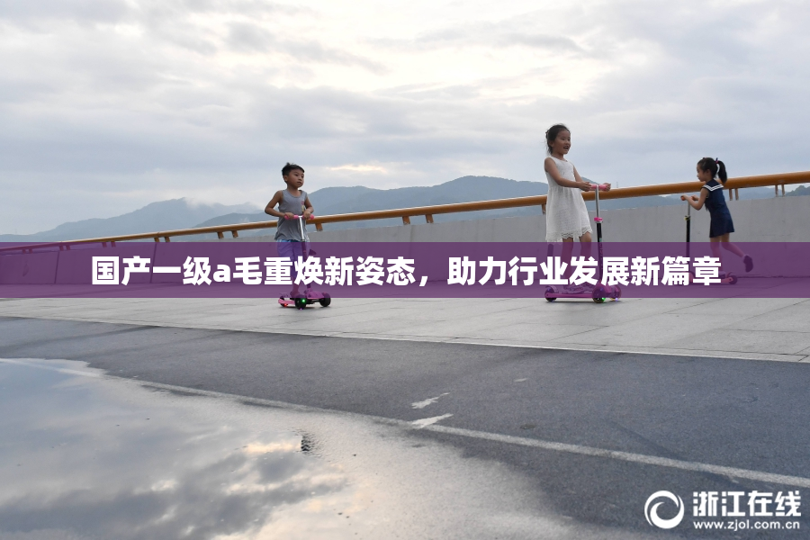 国产一级a毛重焕新姿态，助力行业发展新篇章