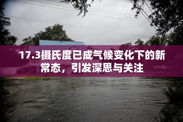 17.3摄氏度已成气候变化下的新常态，引发深思与关注