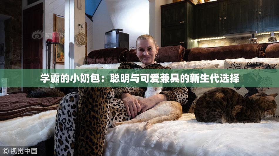 学霸的小奶包：聪明与可爱兼具的新生代选择