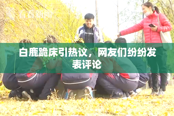 白鹿跪床引热议，网友们纷纷发表评论