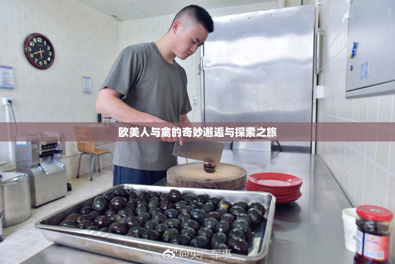 欧美人与禽的奇妙邂逅与探索之旅