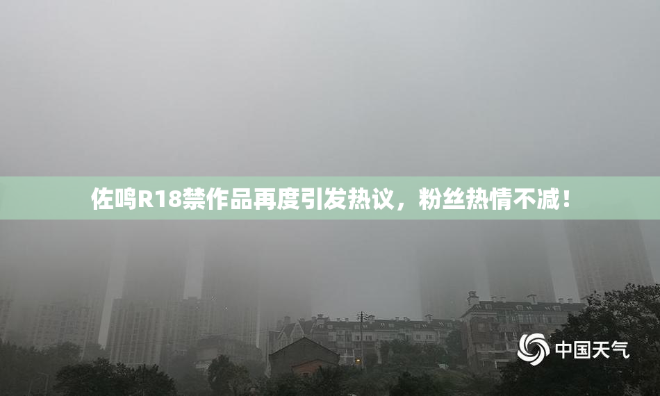 佐鸣R18禁作品再度引发热议，粉丝热情不减！