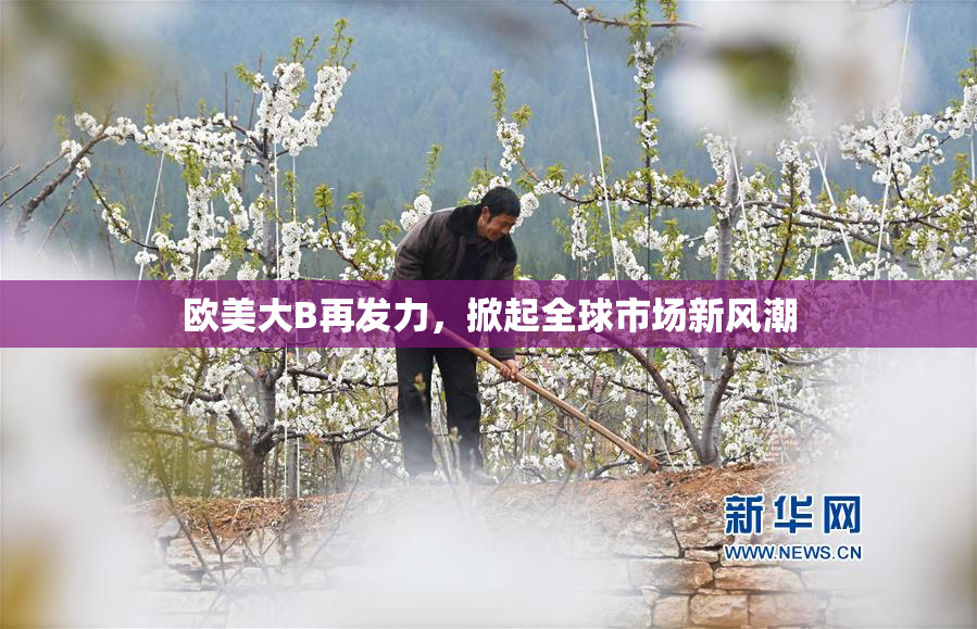欧美大B再发力，掀起全球市场新风潮