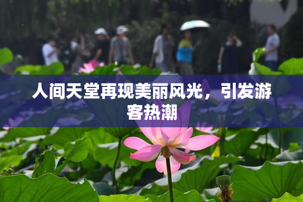 人间天堂再现美丽风光，引发游客热潮
