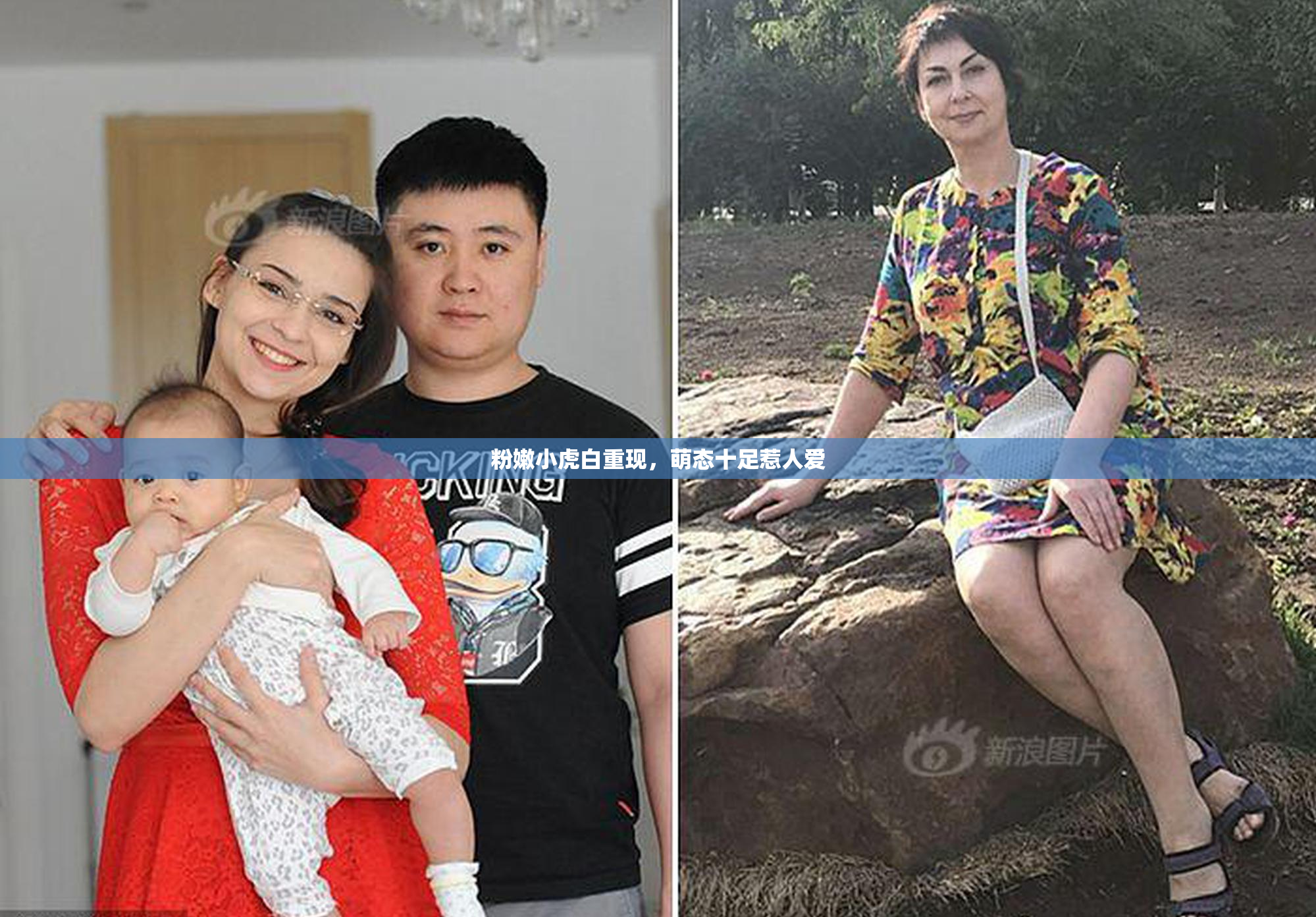 粉嫩小虎白重现，萌态十足惹人爱