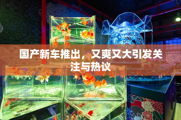 国产新车推出，又爽又大引发关注与热议