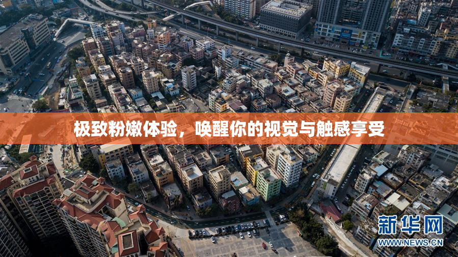 极致粉嫩体验，唤醒你的视觉与触感享受
