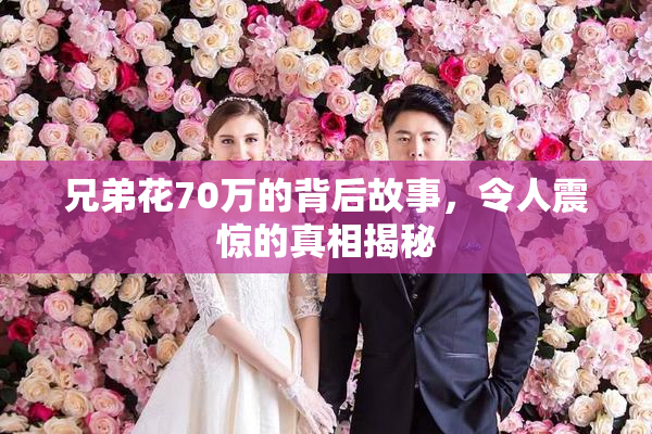 兄弟花70万的背后故事，令人震惊的真相揭秘
