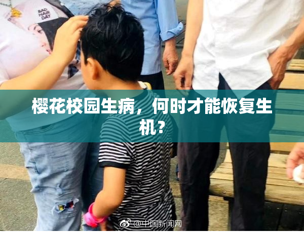 樱花校园生病，何时才能恢复生机？