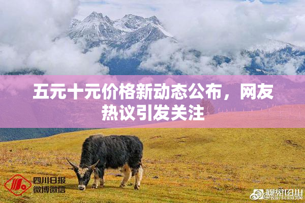 五元十元价格新动态公布，网友热议引发关注