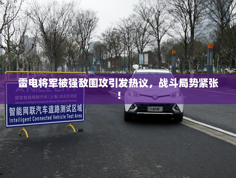 雷电将军被强敌围攻引发热议，战斗局势紧张！
