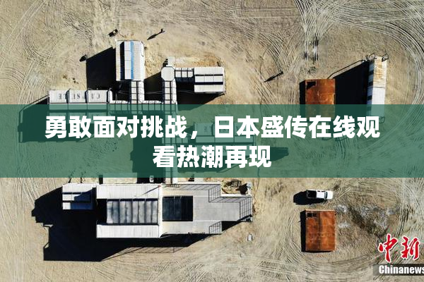 勇敢面对挑战，日本盛传在线观看热潮再现