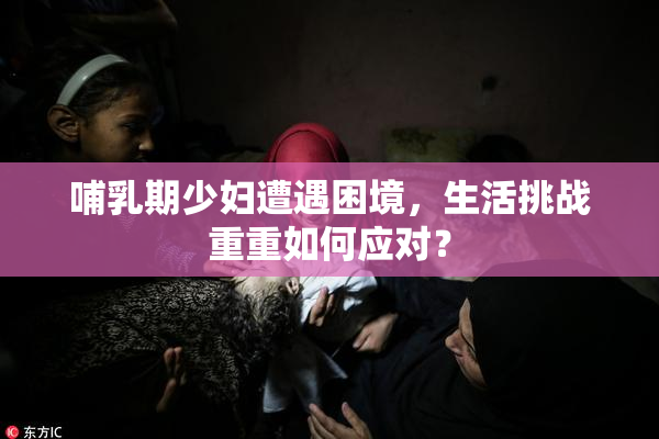 哺乳期少妇遭遇困境，生活挑战重重如何应对？