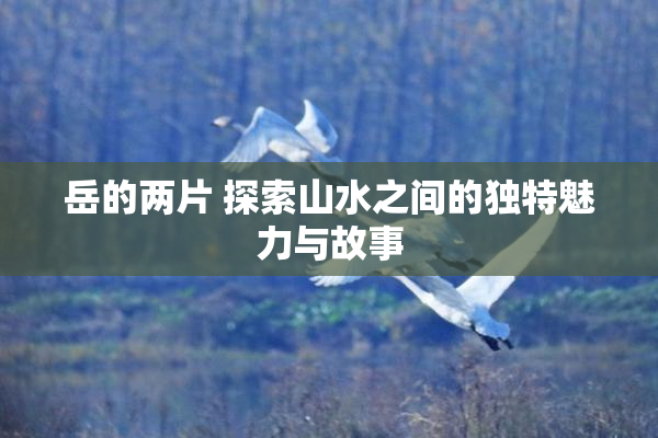 岳的两片 探索山水之间的独特魅力与故事