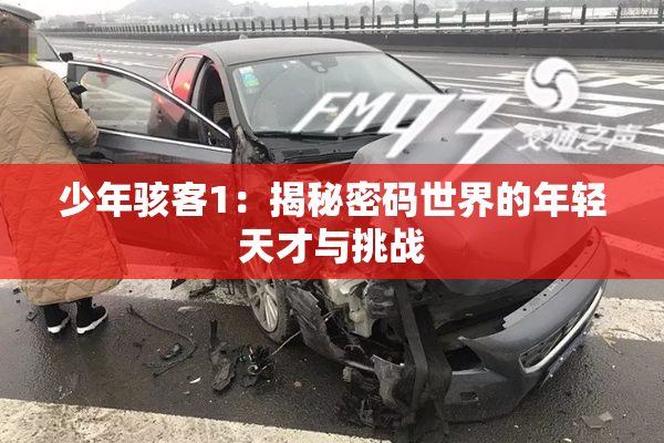 少年骇客1：揭秘密码世界的年轻天才与挑战
