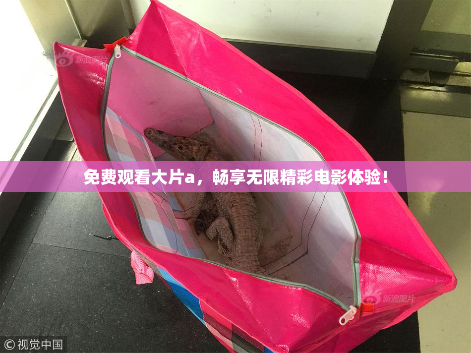 免费观看大片a，畅享无限精彩电影体验！