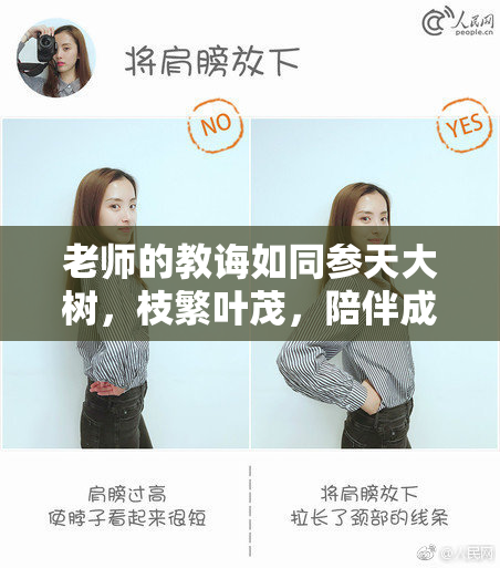 老师的教诲如同参天大树，枝繁叶茂，陪伴成长