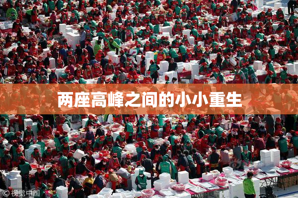 两座高峰之间的小小重生