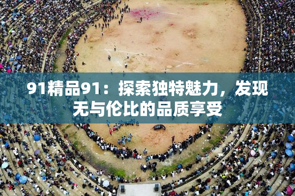 91精品91：探索独特魅力，发现无与伦比的品质享受