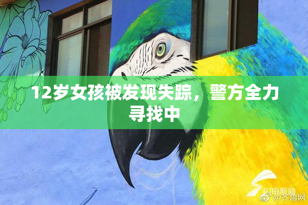 12岁女孩被发现失踪，警方全力寻找中