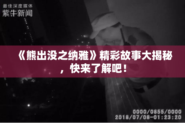《熊出没之纳雅》精彩故事大揭秘，快来了解吧！