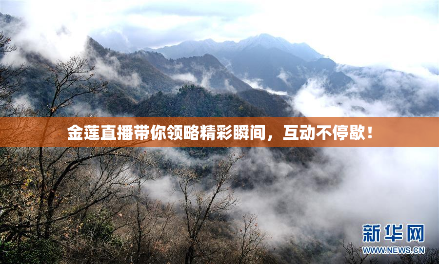 金莲直播带你领略精彩瞬间，互动不停歇！