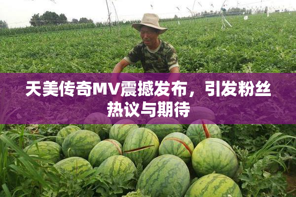 天美传奇MV震撼发布，引发粉丝热议与期待