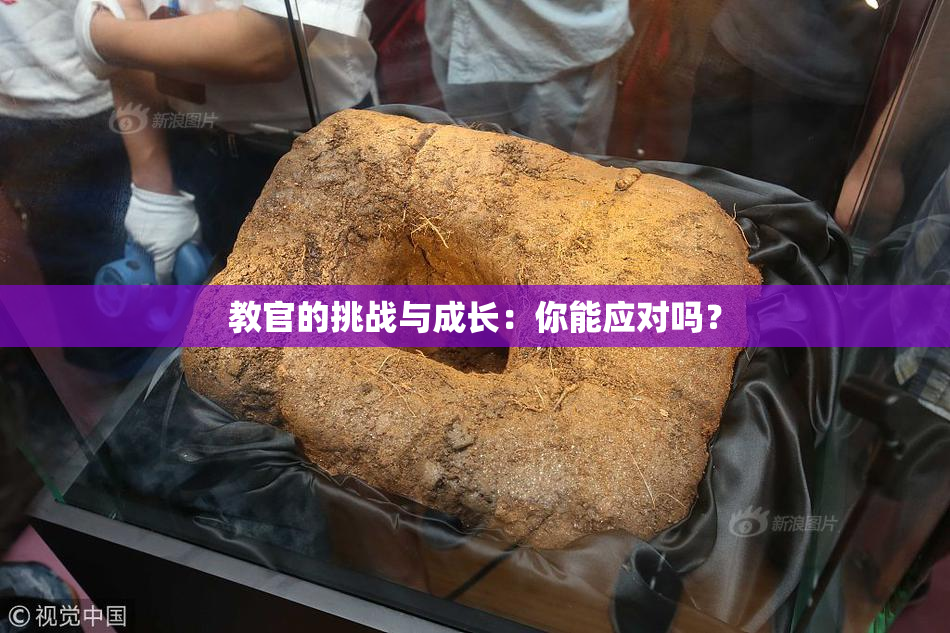 教官的挑战与成长：你能应对吗？