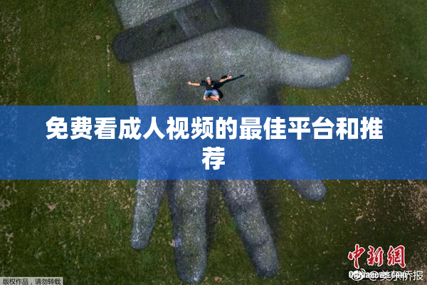 免费看成人视频的最佳平台和推荐