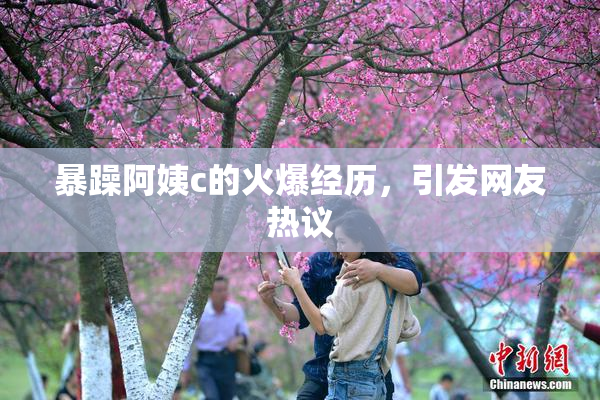 暴躁阿姨c的火爆经历，引发网友热议