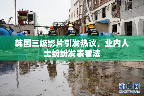 韩国三级影片引发热议，业内人士纷纷发表看法