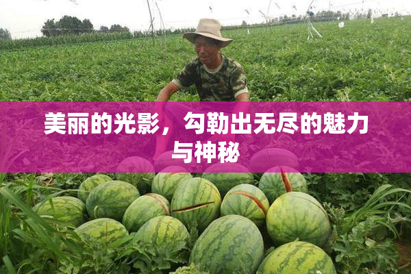 美丽的光影，勾勒出无尽的魅力与神秘