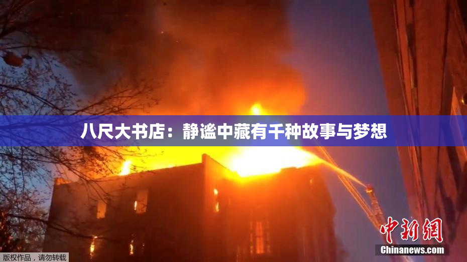 八尺大书店：静谧中藏有千种故事与梦想