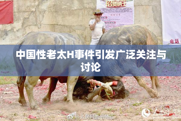 中国性老太H事件引发广泛关注与讨论