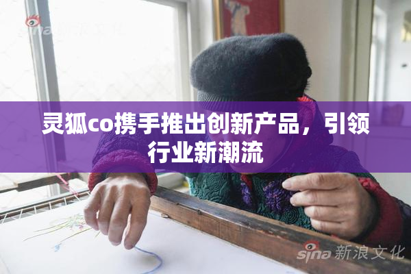 灵狐co携手推出创新产品，引领行业新潮流
