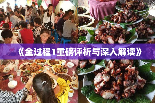 《全过程1重磅评析与深入解读》
