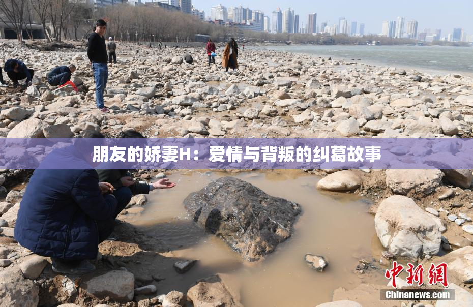 朋友的娇妻H：爱情与背叛的纠葛故事