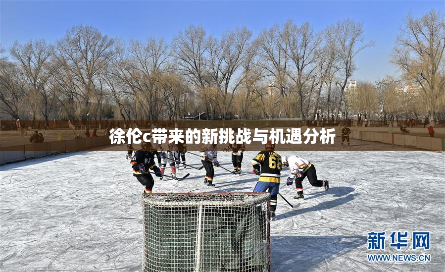 徐伦c带来的新挑战与机遇分析