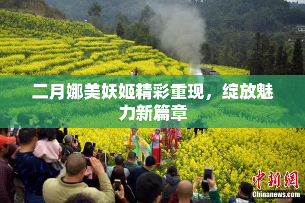 二月娜美妖姬精彩重现，绽放魅力新篇章