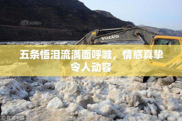 五条悟泪流满面呼喊，情感真挚令人动容