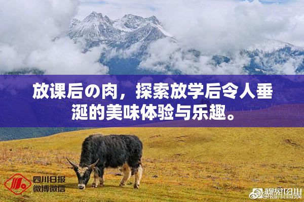 放课后の肉，探索放学后令人垂涎的美味体验与乐趣。