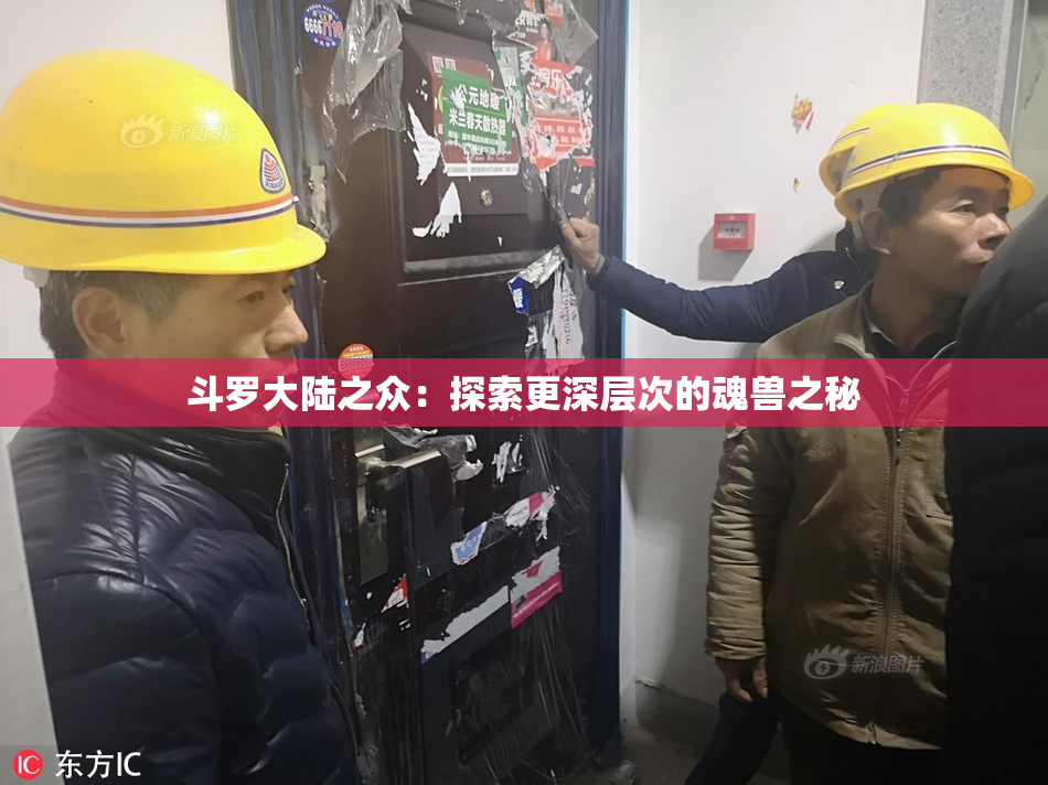 斗罗大陆之众：探索更深层次的魂兽之秘