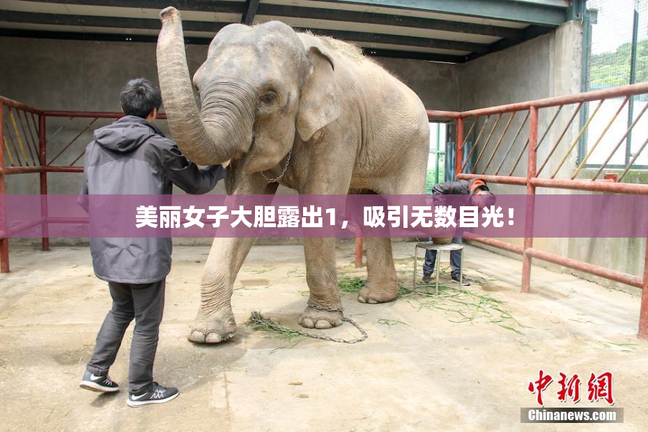美丽女子大胆露出1，吸引无数目光！