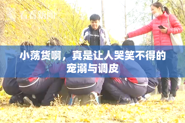 小荡货啊，真是让人哭笑不得的宠溺与调皮