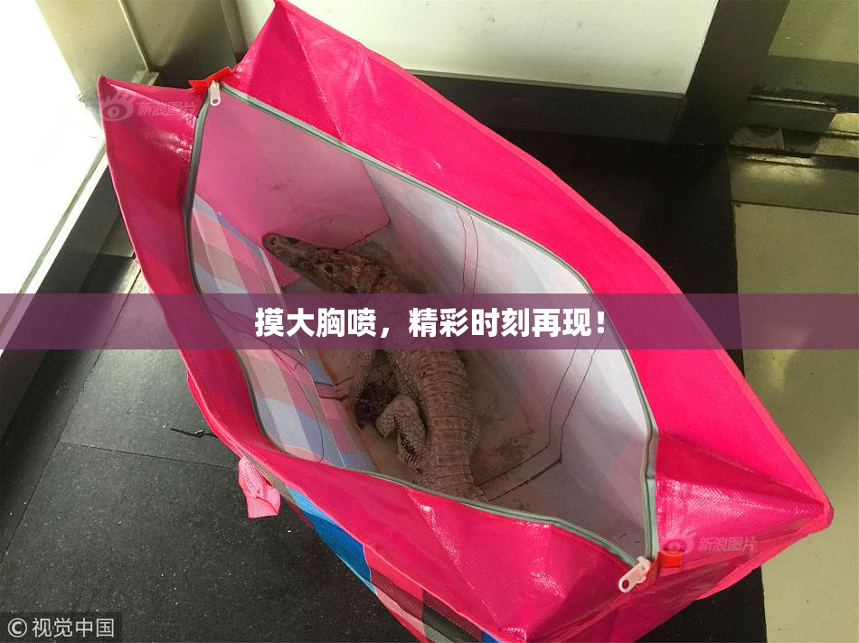 摸大胸喷，精彩时刻再现！