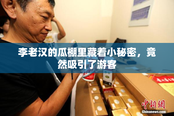 李老汉的瓜棚里藏着小秘密，竟然吸引了游客