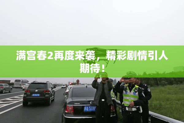 满宫春2再度来袭，精彩剧情引人期待！